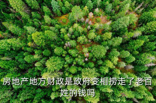 土地財政是什么意思，拍賣土地財政應該返錢嗎