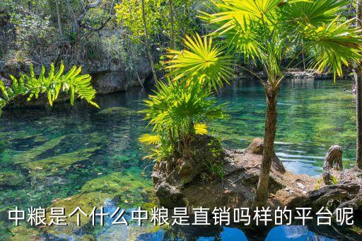 中糧明誠是什么，你好請(qǐng)問你在中糧生化衡水有限公司應(yīng)聘成功了嗎這個(gè)公司是