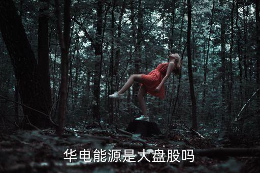 華電能源是什么公司，內(nèi)蒙華電 屬于五大電力集團(tuán)的哪一家