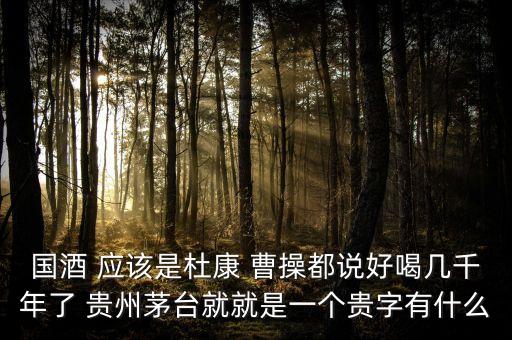 為什么不拿杜康當(dāng)國(guó)酒，為什么杜康酒沒(méi)有成為中國(guó)十大名酒之一