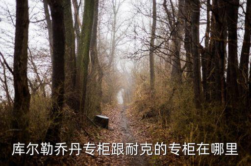 庫爾勒匯嘉有什么品牌，庫爾勒的匯嘉有沒有ZA化妝品專柜