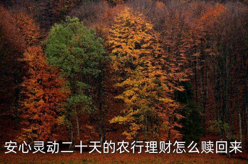 安心靈動(dòng)20天什么時(shí)候可以贖回，安心靈動(dòng)二十天的農(nóng)行理財(cái)怎么贖回來(lái)