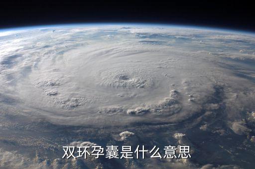 雙環(huán)控制是什么，b超里面的雙環(huán)征明顯是雙環(huán)征是什么意思