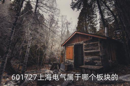 上海電氣什么行業(yè)，上海置信電氣股份有限公司是屬于什么行業(yè)