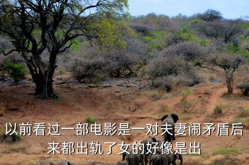 候永財(cái)執(zhí)導(dǎo)過什么電影，以前看過一部電影是一對夫妻鬧矛盾后來都出軌了女的好像是出