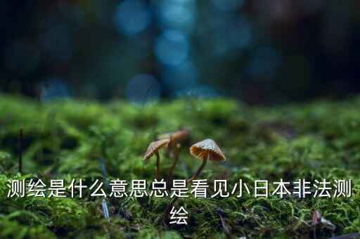 什么是非法測(cè)繪，測(cè)繪是什么意思總是看見小日本非法測(cè)繪