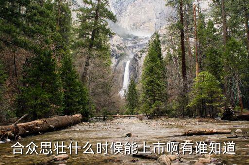 合眾思壯什么時(shí)候復(fù)牌，合眾思壯什么時(shí)候能上市啊有誰知道