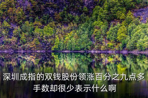 雙錢股份是什么公司，深圳成指的雙錢股份領(lǐng)漲百分之九點多 手數(shù)卻很少表示什么啊