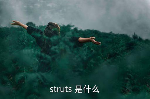 什么是中植系，struts 是什么