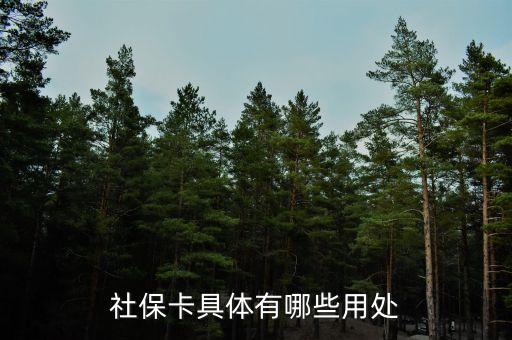社?？ň唧w有哪些用處