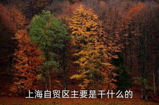 自貿(mào)區(qū)是干什么的，自貿(mào)區(qū)是做什么的