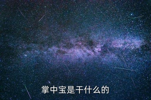 保險掌中寶是什么，掌中寶是干什么的