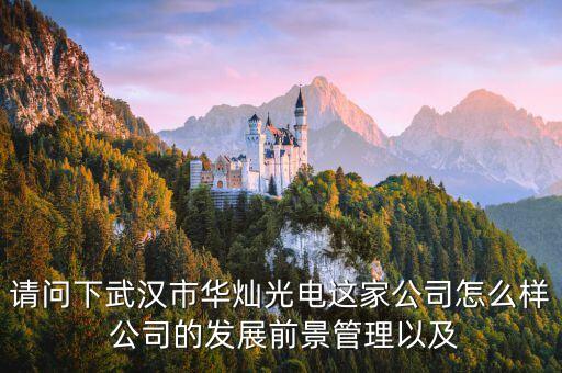300323華燦光電是干什么的，蘇州華燦光電工作是流水線嗎