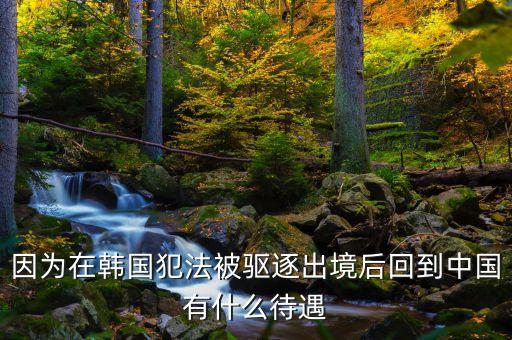 在國外犯罪逃回國有什么后果，逃犯持外國護照回國會怎樣