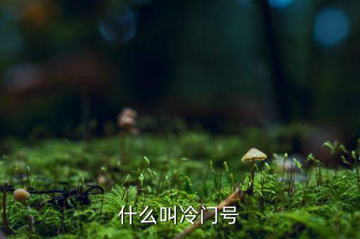 什么叫冷門股，楊子一老公叫什么名子
