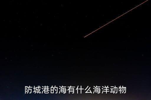 什么是沿邊金融，防城港的海有什么海洋動(dòng)物
