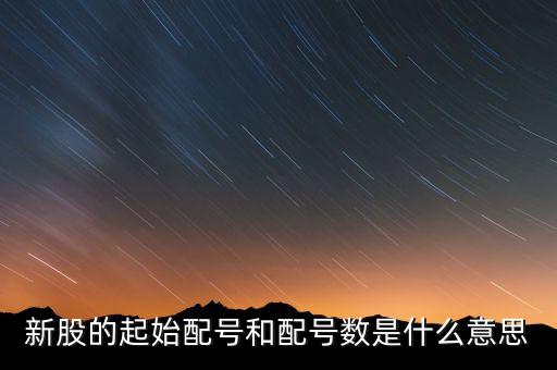 新股申購起始配號是什么意思，新股起始配號是什么意思配號21是什么意思