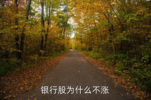 牛市為什么銀行股不漲，我來(lái)告訴你銀行股為什么不漲