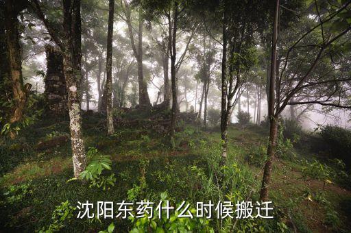 有沈陽東北制藥搬遷是什么時候嗎，沈陽東藥什么時候搬遷