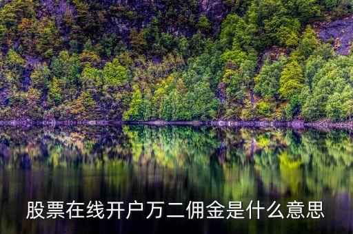 傭金萬(wàn)2是什么意思，問(wèn)下大神們 什么是萬(wàn)二傭金