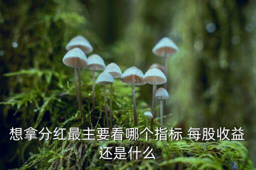 想拿分紅最主要看哪個指標 每股收益還是什么
