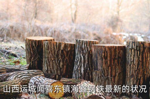 海鑫什么時候破產(chǎn)，山西運城聞喜東鎮(zhèn)海鑫鋼鐵最新的狀況