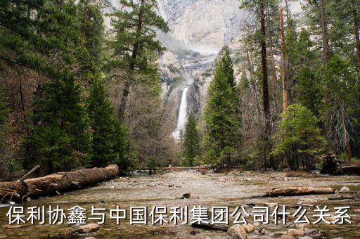 保利集團什么時候合并中紡集團，保利協(xié)鑫與中國保利集團公司什么關(guān)系