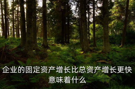 固定資產增長說明什么，流動資產固定資產長期投資都增加從公司資產規(guī)模及變動趨勢