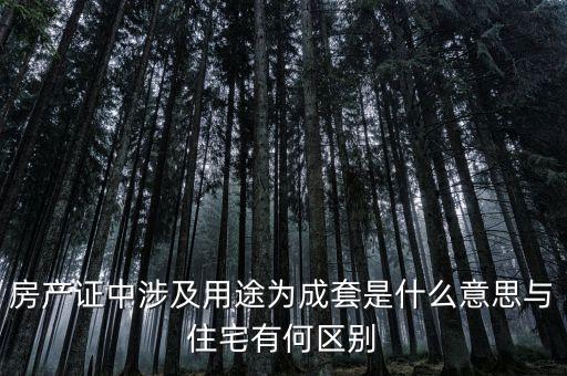 什么是成套項(xiàng)目，什么叫中型成套工程項(xiàng)目