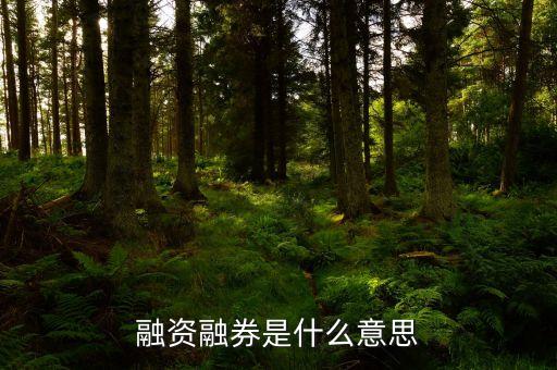 什么是融資融券交易，融資融券是什么意思