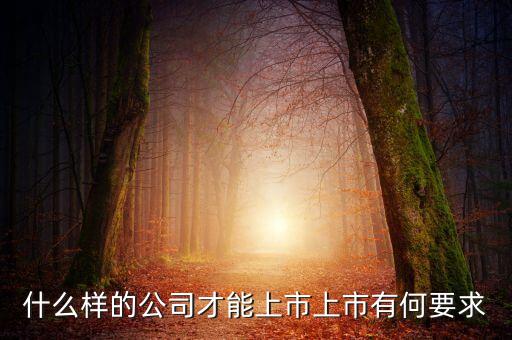 什么樣的公司可以上市，什么樣的公司才能上市上市有何要求