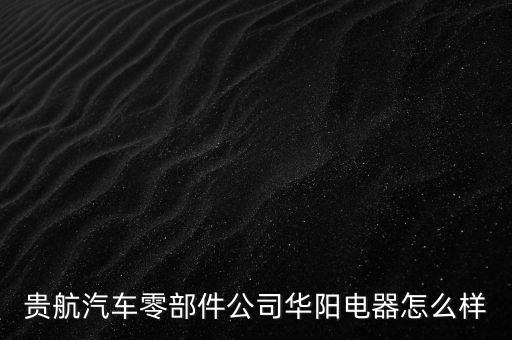 貴航集團(tuán)華陽電工廠是什么企業(yè)，貴航汽車零部件公司華陽電器怎么樣