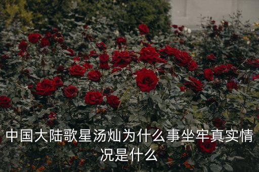 湯燦為什么要當(dāng)情婦，誰(shuí)知道湯燦怎么了