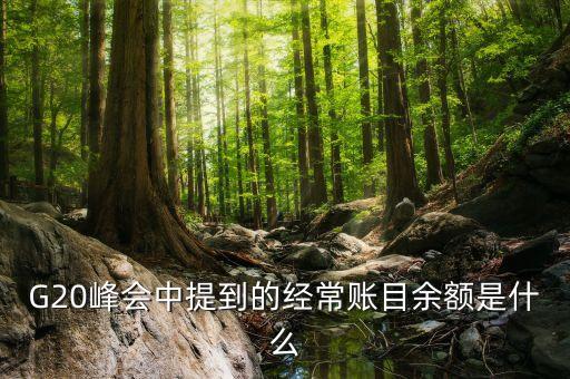 什么是經(jīng)常項(xiàng)目余額，經(jīng)常項(xiàng)目差額的什么是經(jīng)常項(xiàng)目差額