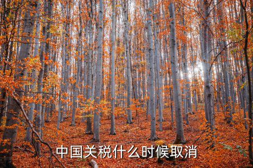中國什么時候取消關稅，中國應該在哪年取消關稅