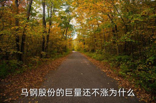 馬鋼集團(tuán)為什么還不倒，馬鋼集團(tuán)為什么沒排在世界500強(qiáng)中