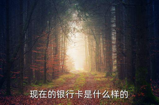 首都銀行卡長什么樣，銀行卡賬號(hào)長什么樣