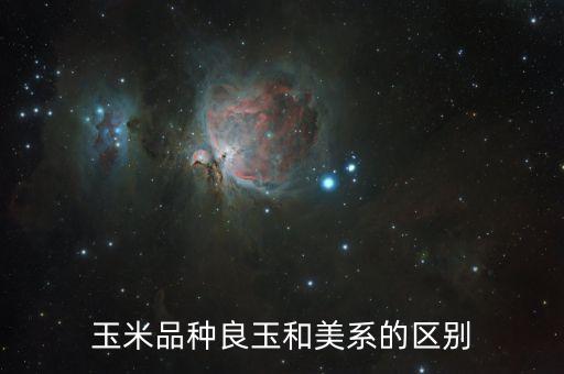 良玉系列品種都有什么，道寧集團良玉財寶碧玉有那些品種