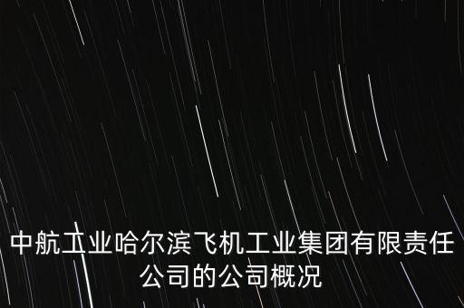 哈飛生產(chǎn)什么飛機(jī)，成飛 陜飛 哈飛 沈飛那個(gè)是中國(guó)最大的飛機(jī)制造企業(yè)
