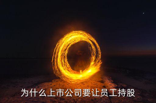 公司強(qiáng)迫員工入股的動(dòng)機(jī)是什么，4個(gè)人的公司要求員工入股是什么目的