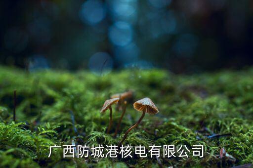 防城港核電站什么時(shí)候發(fā)電，請(qǐng)問防城港核電廠什么時(shí)候建成并投入使用