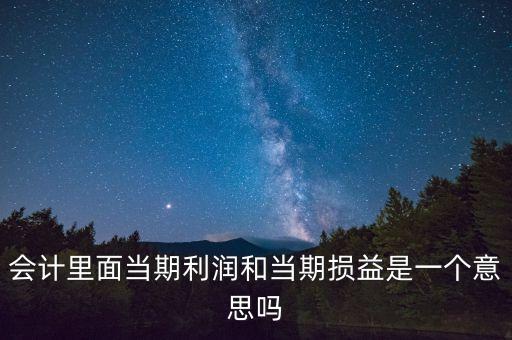 當(dāng)期利潤是指什么意思，當(dāng)期利潤當(dāng)期應(yīng)付利息等等中的當(dāng)期是什么含義