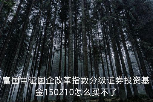 150210買的什么股票，富國中證國企改革指數(shù)分級證券投資基金150210怎么買不了