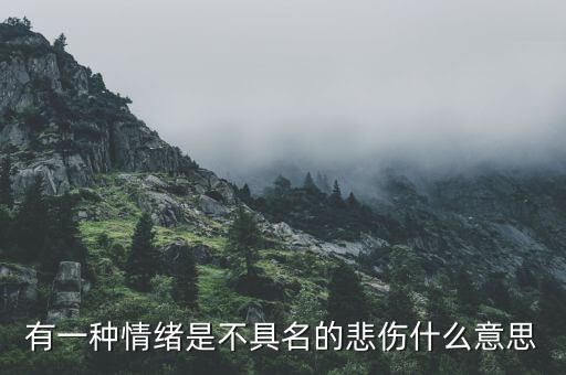不愿具名是什么意思，有一種情緒是不具名的悲傷什么意思