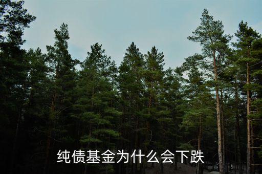 年底債基為什么要跌，債券基金凈值為什么會跌