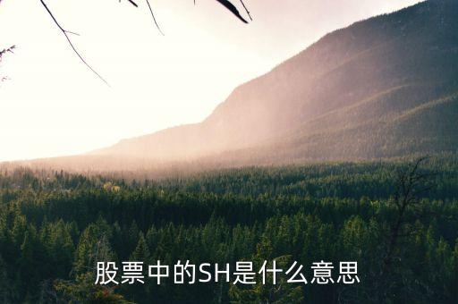 股票中SH6代表什么，股票里的這些都代表什么意思AH NH CDP NL AL
