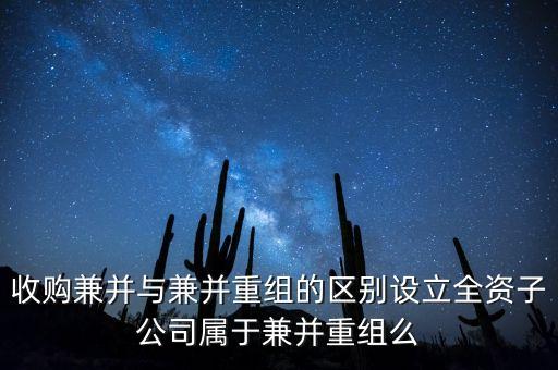 新設(shè)立子公司算什么合并，新設(shè)立1全資子公司算同1控制下合并