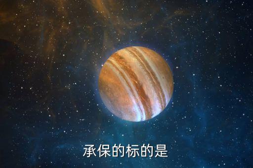 保險(xiǎn)里標(biāo)保和承保是什么意思，什么是標(biāo)保