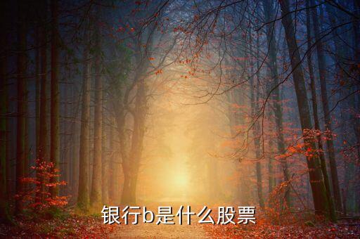 新能車b是什么股，新能車b是b股嗎會比a股風(fēng)險(xiǎn)大嗎