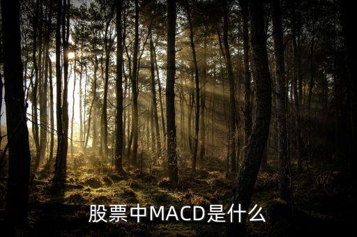 股市MACD線是什么意思，股票中MACD是什么意思